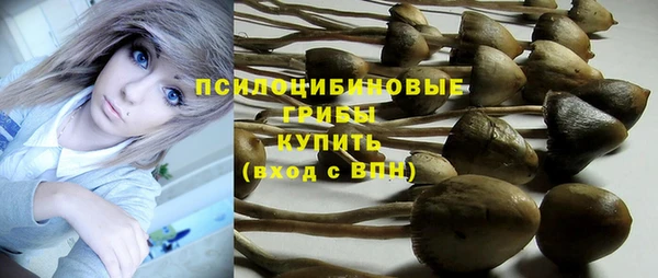 марки nbome Инта