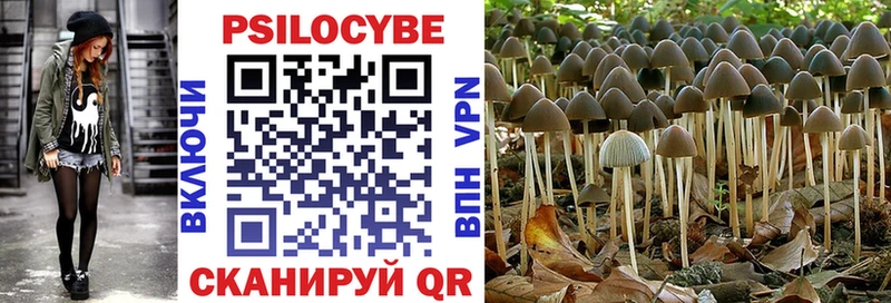 Галлюциногенные грибы GOLDEN TEACHER  Купить закладки  Полевской 