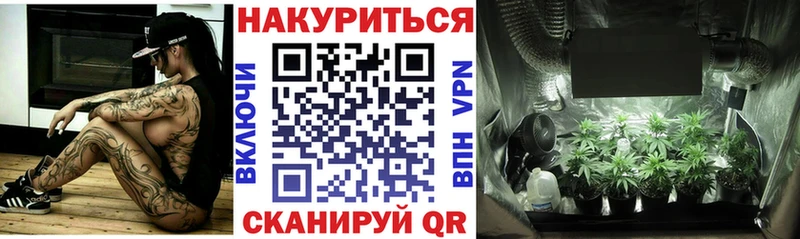 Марихуана план Полевской